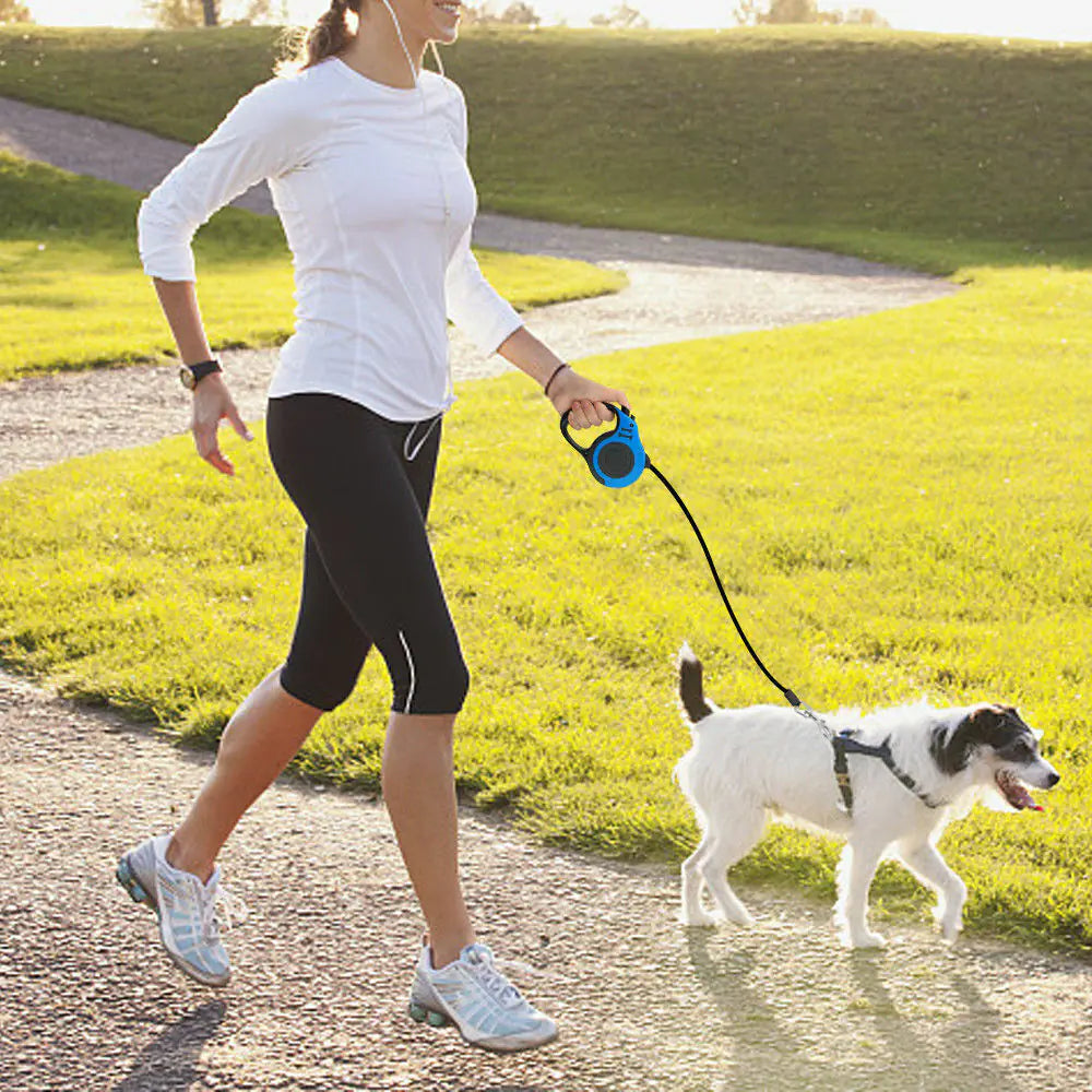 Dog Leash - Assortique Inc.