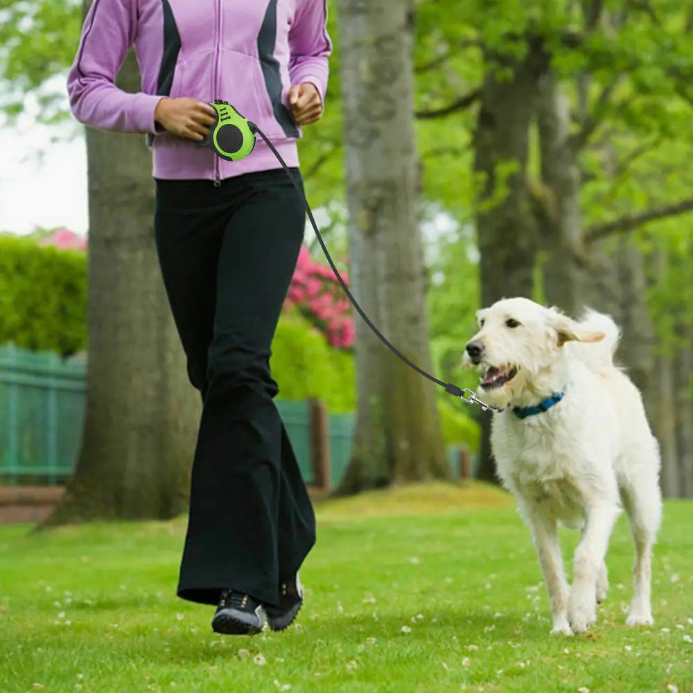 Dog Leash - Assortique Inc.